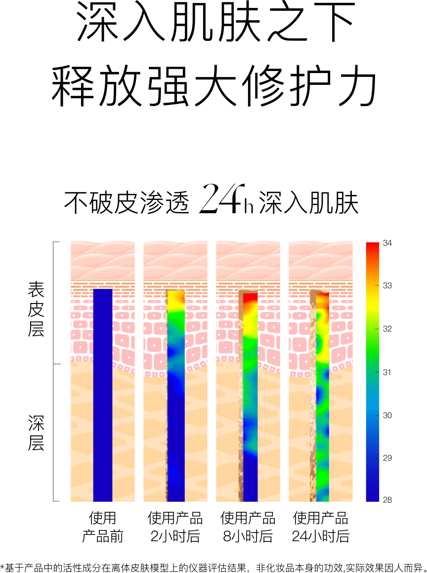 皮肤渗透深度图表